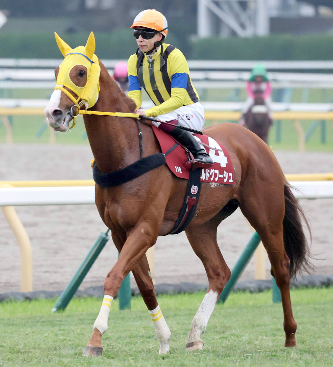 １１着のボルドグフーシュ（カメラ・荒牧　徹）