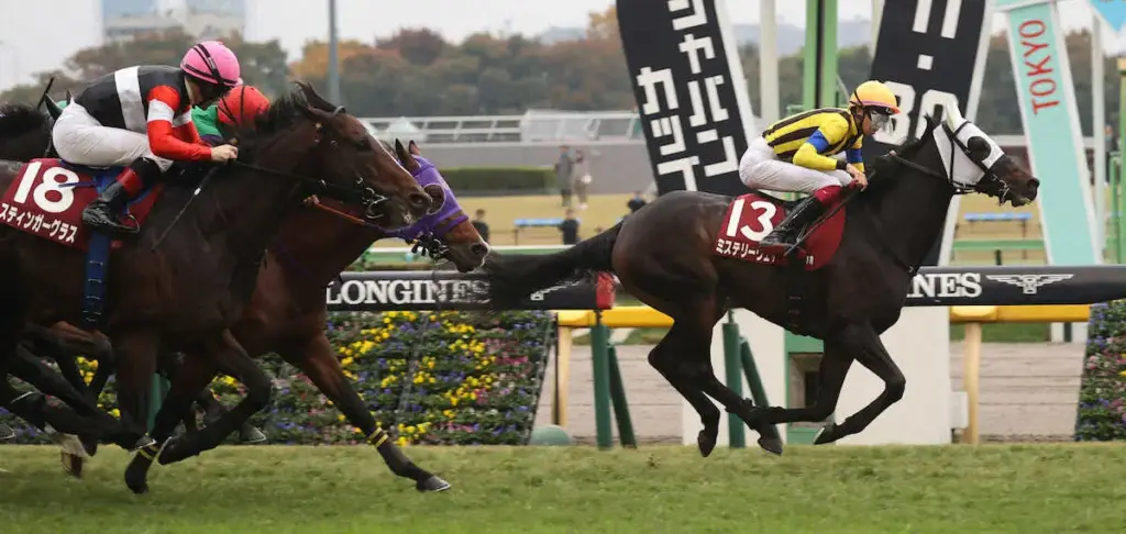 【アルゼンチン共和国杯】ミステリーウェイ大逃げ成功!　松本が好騎乗で重賞初勝利 - スポニチ Sponichi Annex ギャンブル