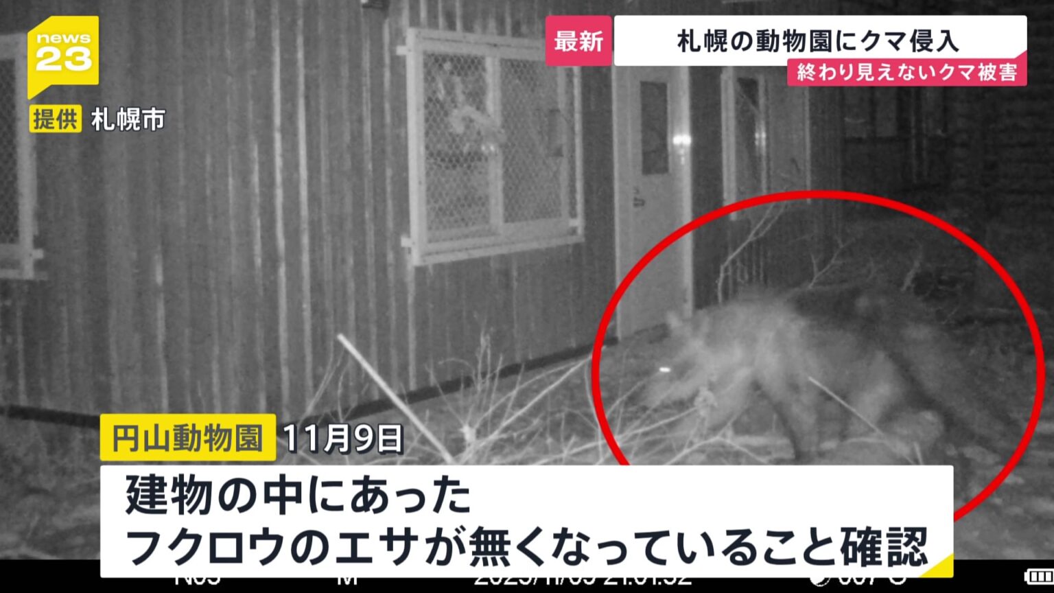 夜の動物園に忍び込むクマ 一度ならず二度までも…山形では名産品が食い荒らされ“食害”が深刻化【news23】（TBS NEWS DIG Powered by JNN）