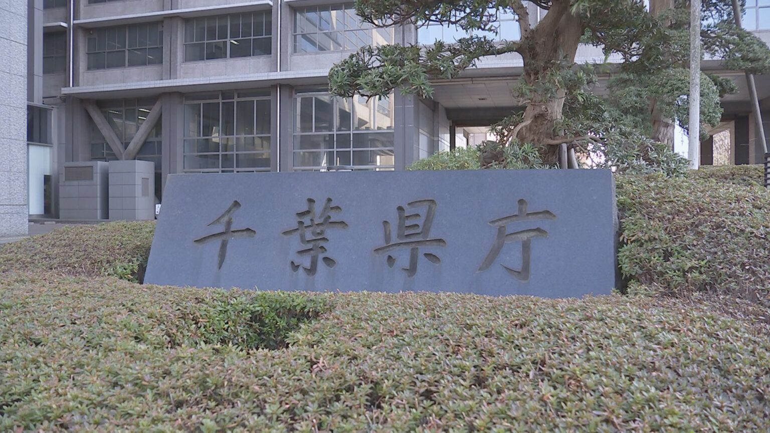 千葉県主催のイベントで配布したレトルトカレーの賞味期限が約1年切れていたことが発覚 県が回収・交換へ(TBS NEWS DIG Powered by JNN) 千葉県主催のイベントで配布したレトルトカレーの賞味期限が約1年切れていたことが発覚 県が回収・交換へ(TBS NEWS DIG Powered by JNN)