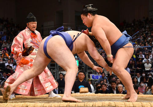 立ち合いで安青錦（左）の攻めを左にかわす若隆景（撮影・岩下翔太）