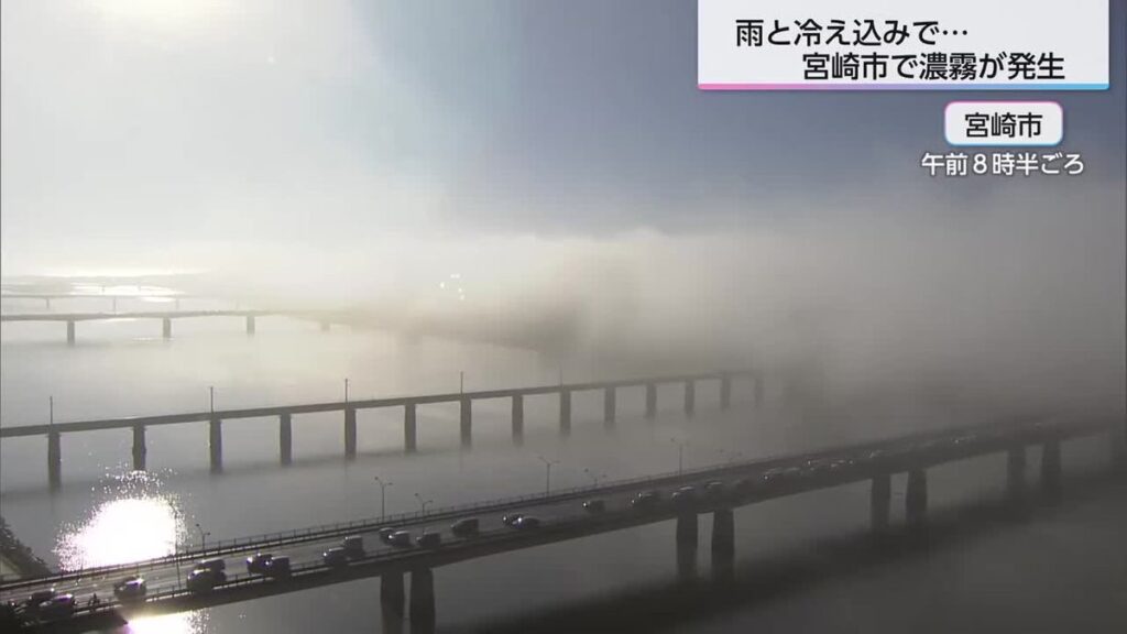 共有