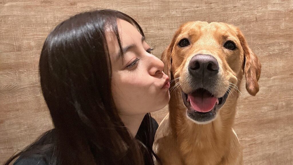 【新木優子】北海道のドッグカフェで犬と触れ合う様子を公開「大きな可愛いわんこ達にもみくちゃにされる幸せ」（TBS NEWS DIG Powered by JNN）