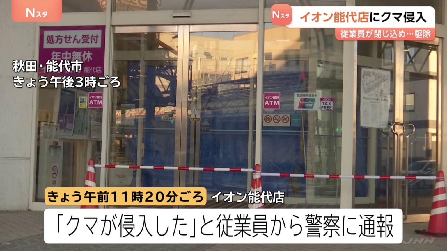 イオンにクマが侵入…体長約80センチの子グマか　麻酔で捕獲しその場で駆除　客らにけがなし　秋田・能代市（TBS NEWS DIG Powered by JNN）