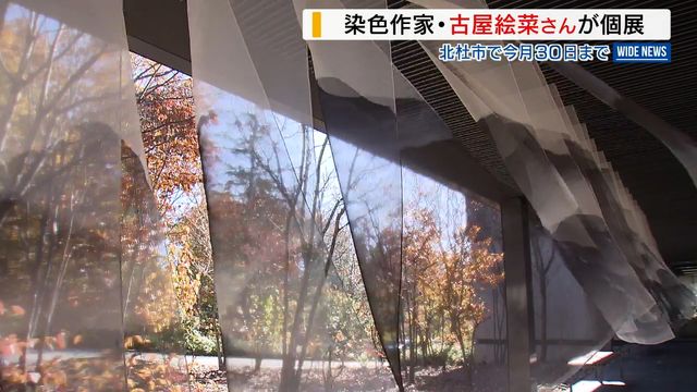 「捉え方ひとつじゃない」染色家・古屋絵菜さんが個展 ろうけつ染めの独創的な世界 山梨（YBS山梨放送） - Yahoo!ニュース