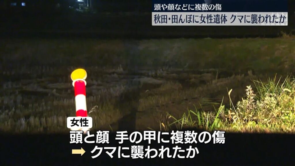 日本テレビ放送網