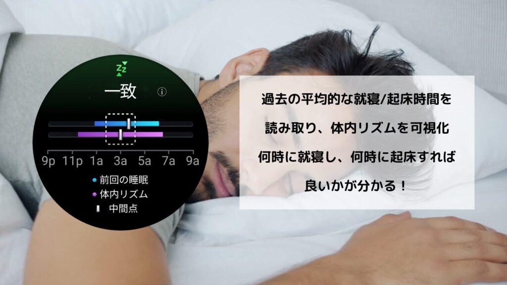 体内リズムとは