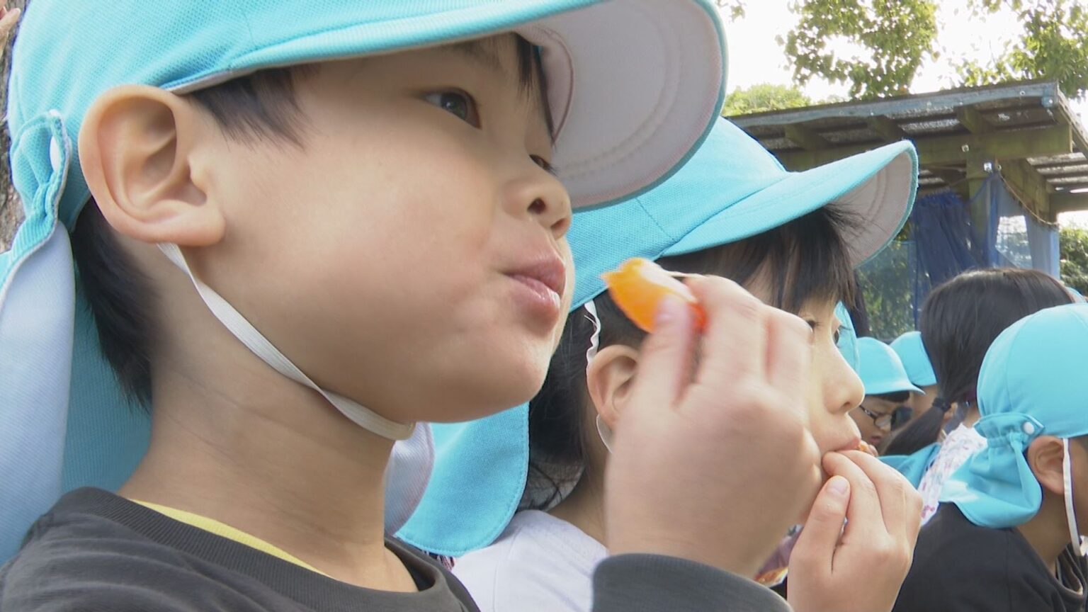 生産量 “全国4位” 熊本の温州ミカン　ジューシーくんが園児にプレゼント!地元の旬その味は?（RKK熊本放送） - Yahoo!ニュース