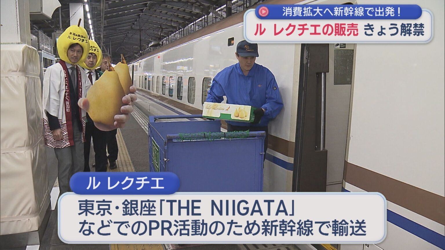 幻の西洋ナシ「ル レクチエ」解禁！消費拡大へ新幹線で出発【新潟】（UX新潟テレビ21） - Yahoo!ニュース