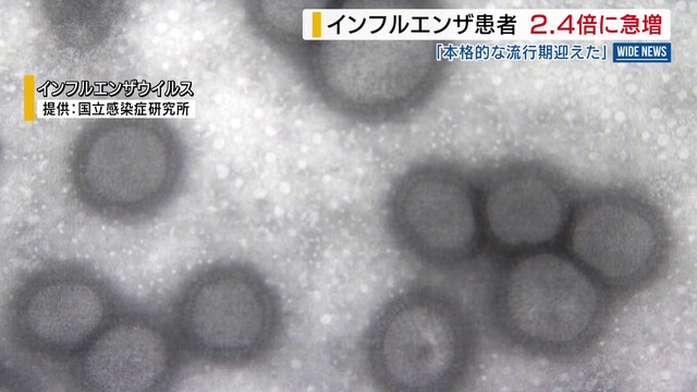 「本格的な流行期を迎えた」 インフルエンザ流行拡大 患者は2.4倍に急増 山梨（YBS山梨放送） - Yahoo!ニュース