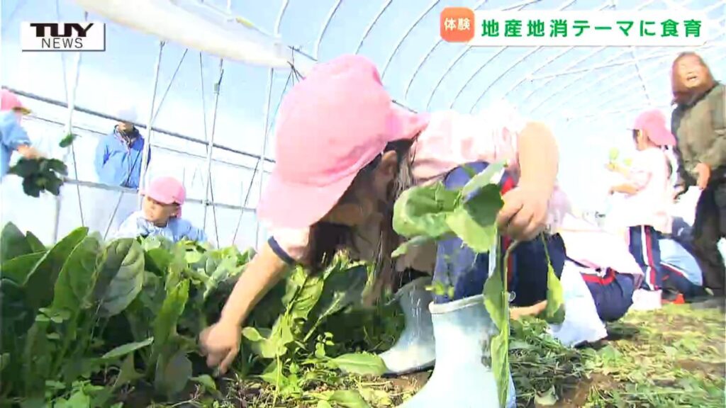 「ほうれん草とったどー!」子どもたちが元気いっぱいに "ほうれん草" を収穫! 食に親しみを!（山形）（テレビユー山形） - Yahoo!ニュース
