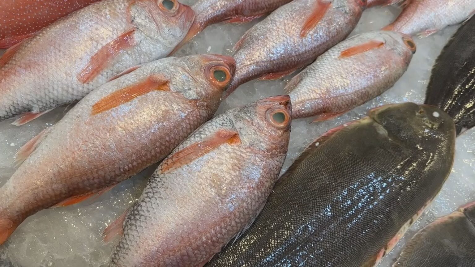 【速報】台湾が日本産食品の輸入規制すべて撤廃を発表 「産地証明書」「放射性物質検査報告書」も不要に（TBS NEWS DIG Powered by JNN）