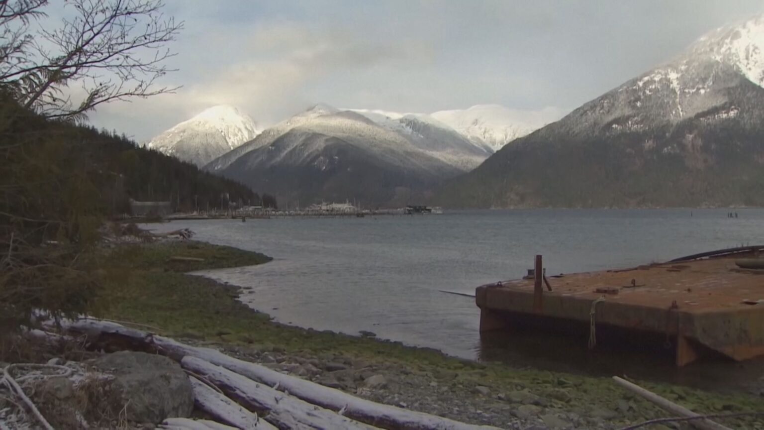 クマが遠足中の子どもらを襲う　4人負傷 うち2人重体　カナダ西部（TBS NEWS DIG Powered by JNN）