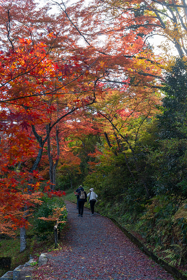 お参りする人たち