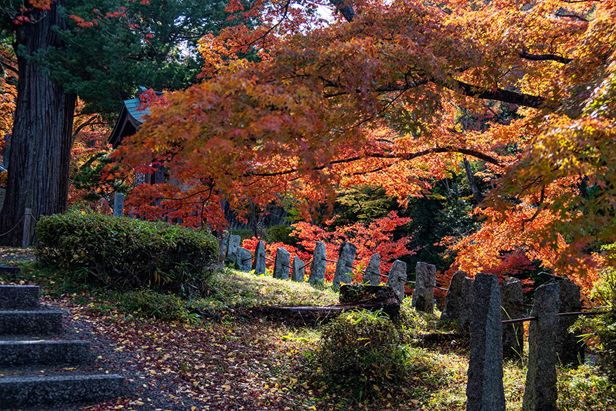 こんな道を静かに歩きます