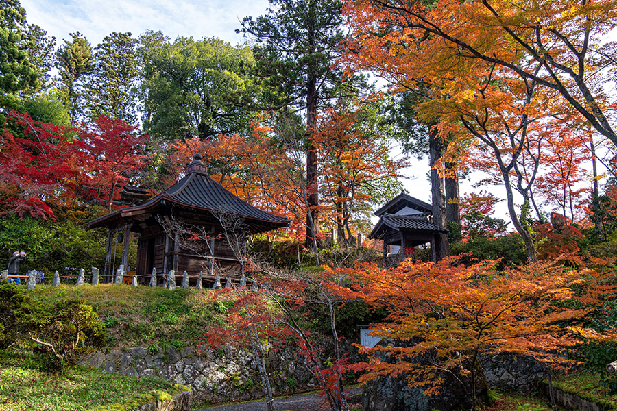 お堂を紅葉が包みます