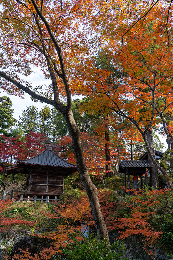 静かなお寺の境内にて
