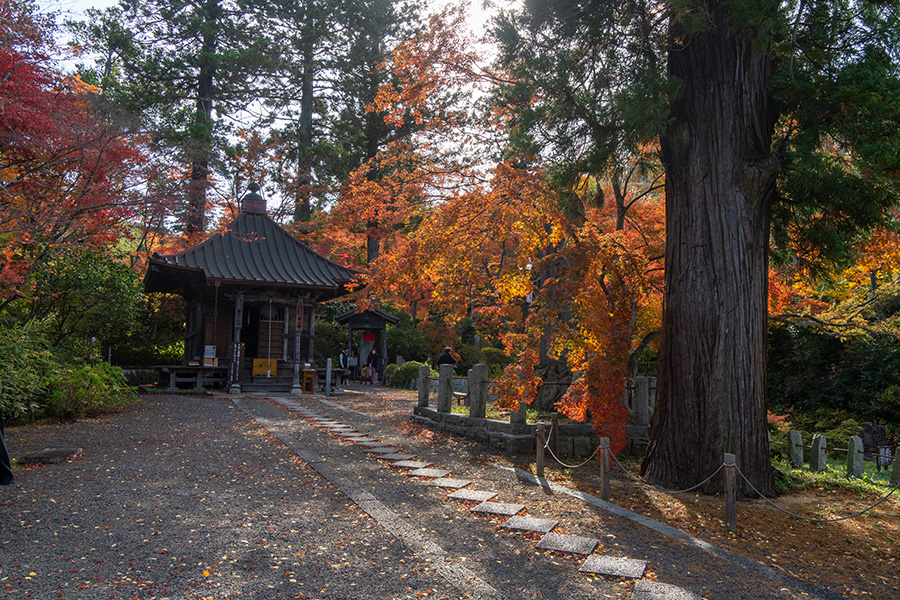静か境内にお堂が建っています