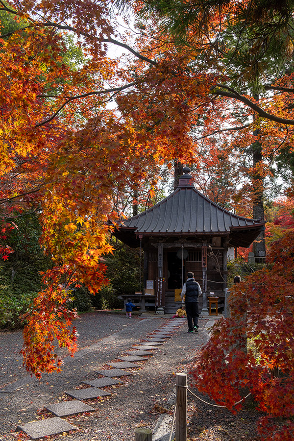 本堂にお参りする人