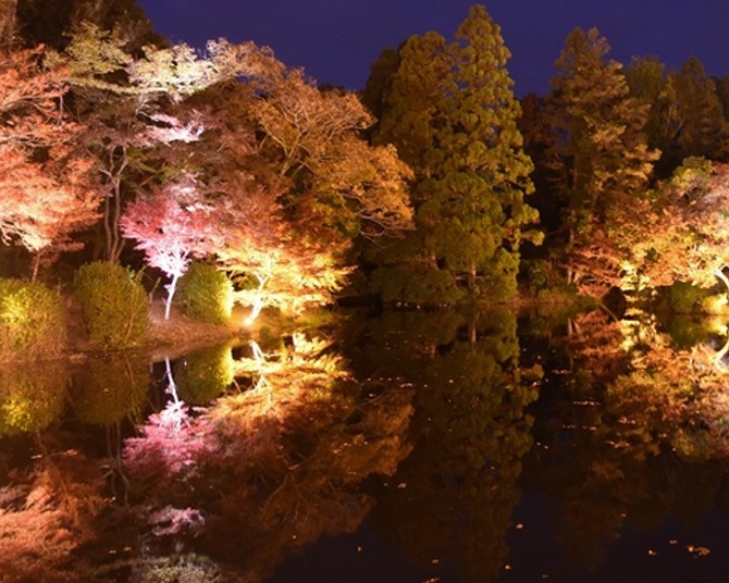 日本最古の京都府立植物園で夜の紅葉とアートイベント「LIGHT CYCLES KYOTO(ライトサイクル京都)」を楽しむ（ウォーカープラス） - Yahoo!ニュース