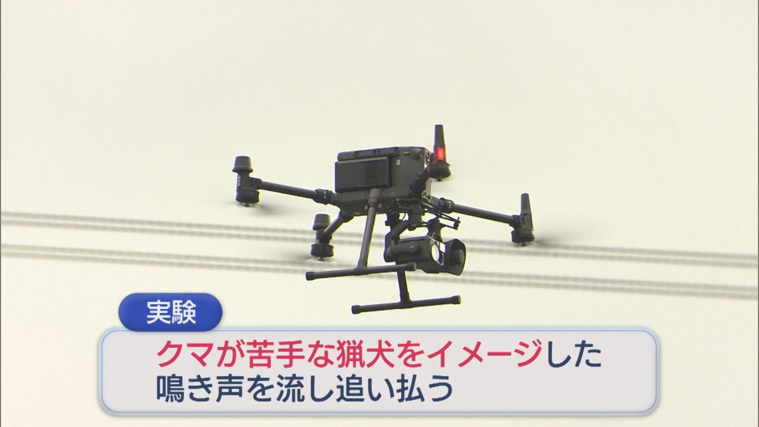 ドローンから”猟犬の鳴き声”空からクマを追い払う実験 来年度の実用化を目指す【新潟】（UX新潟テレビ21） - Yahoo!ニュース
