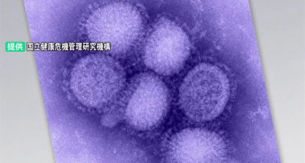 金沢市で警報基準の2倍超過 石川県内インフルエンザ報告数は前週比600人増の2423人に（MRO北陸放送） - Yahoo!ニュース