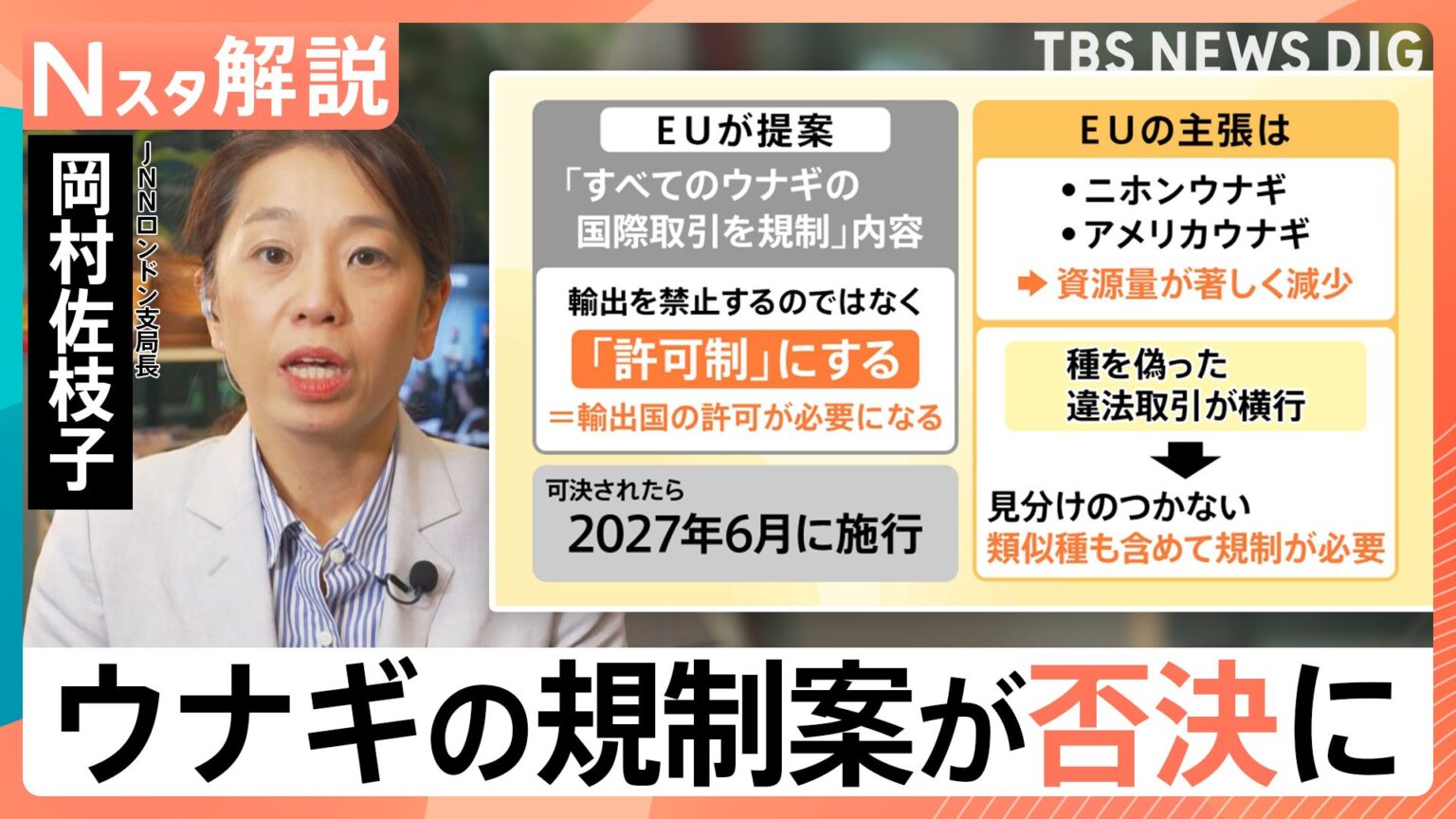 ウナギ全種の規制は否決!“違法取引”横行でEUが提案　7割を輸入の日本　食文化×資源を守るには【Nスタ解説】（TBS NEWS DIG Powered by JNN）