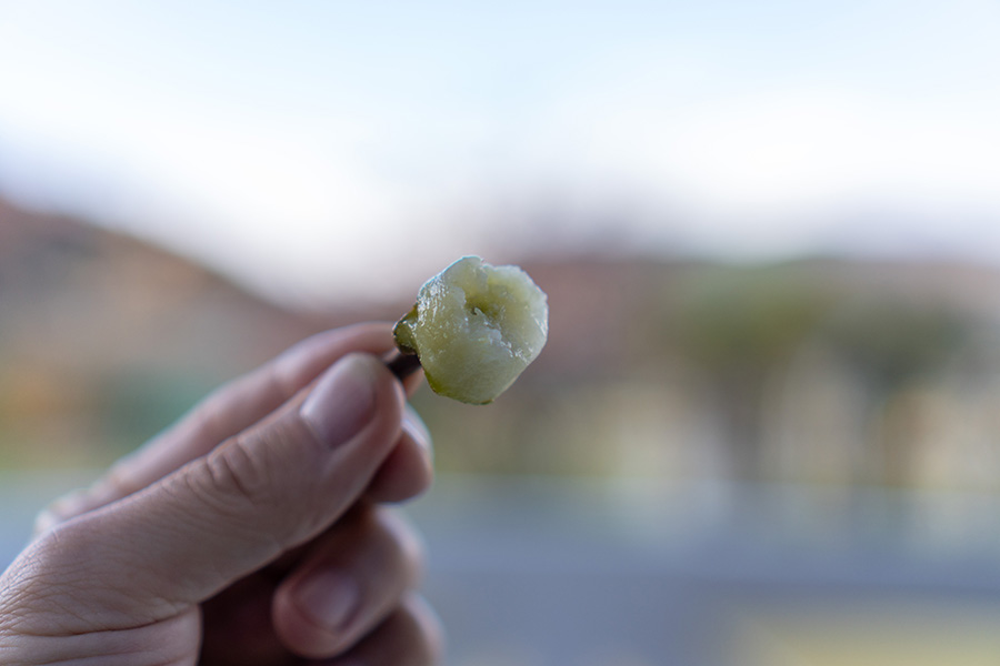 ヘタのところの果肉も食べちゃうよー