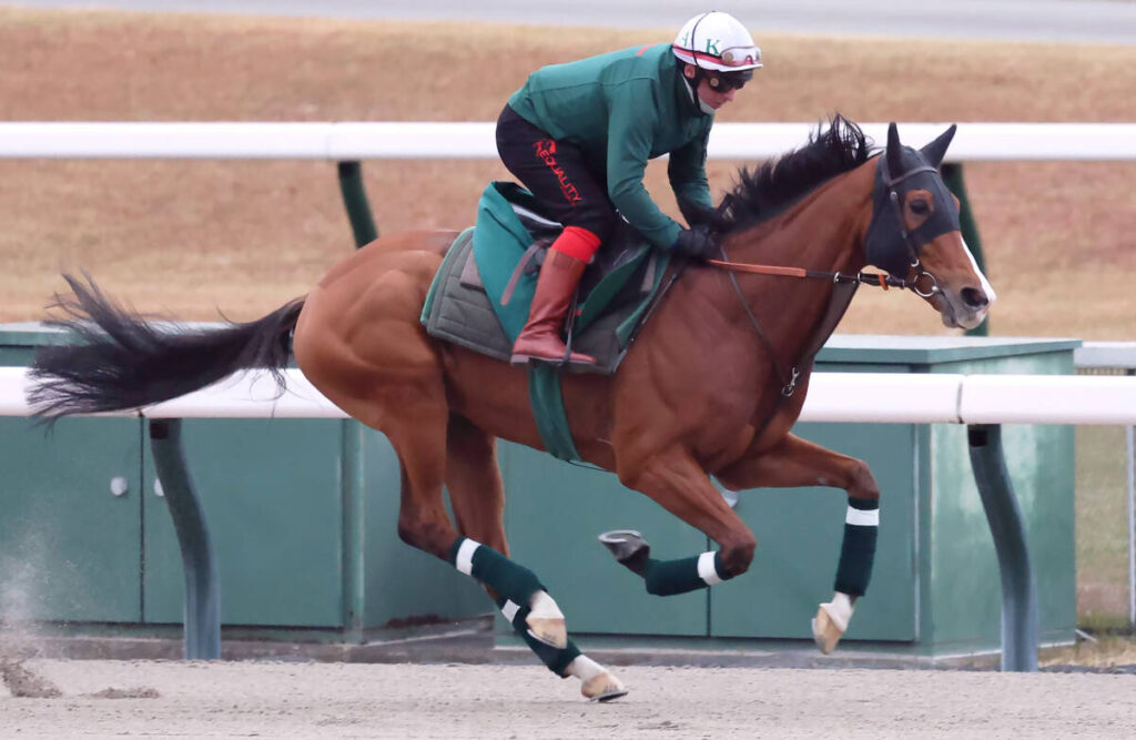 馬トク激走馬に計算されたカランダガン（カメラ・荒牧　徹）