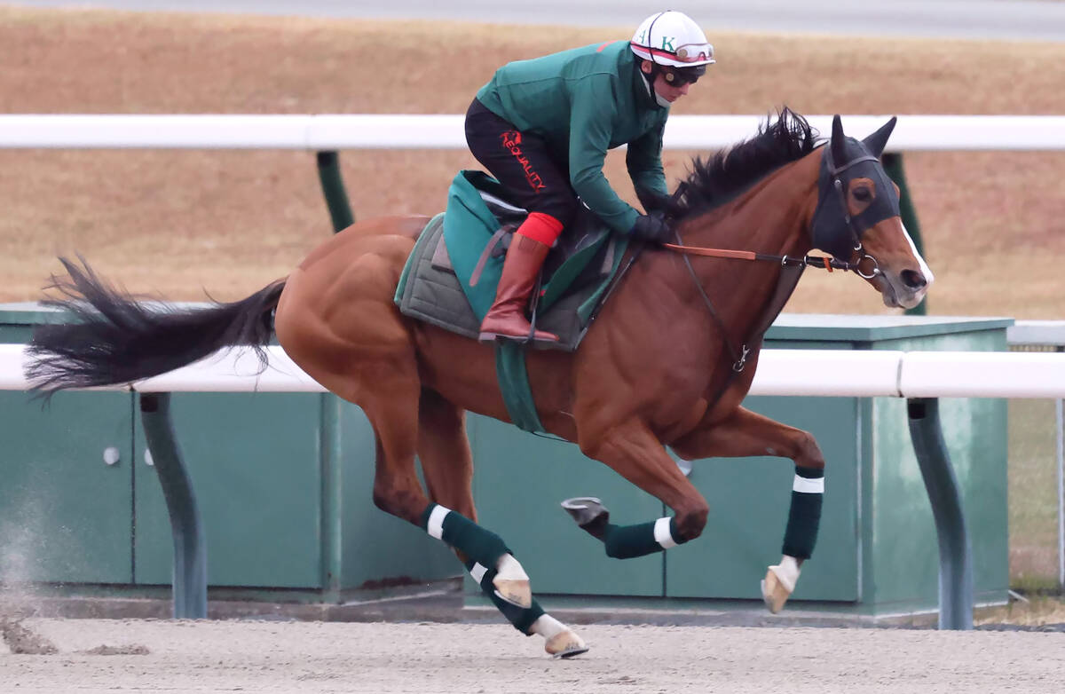 馬トク激走馬に計算されたカランダガン（カメラ・荒牧　徹）