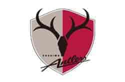 鹿島アントラーズジュニア 現小学2年生 セレクション1/17開催!2026年度 茨城県 | Green Card ニュース 鹿島アントラーズジュニア 現小学2年生 セレクション1/17開催!2026年度 茨城県 | Green Card ニュース