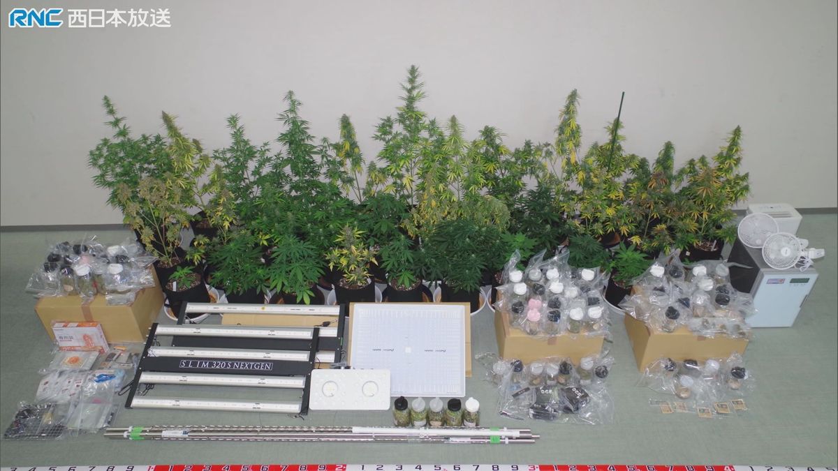 自宅で大麻草を栽培した疑い　岩手県の夫婦逮捕　大麻の成分を含む焼き菓子も