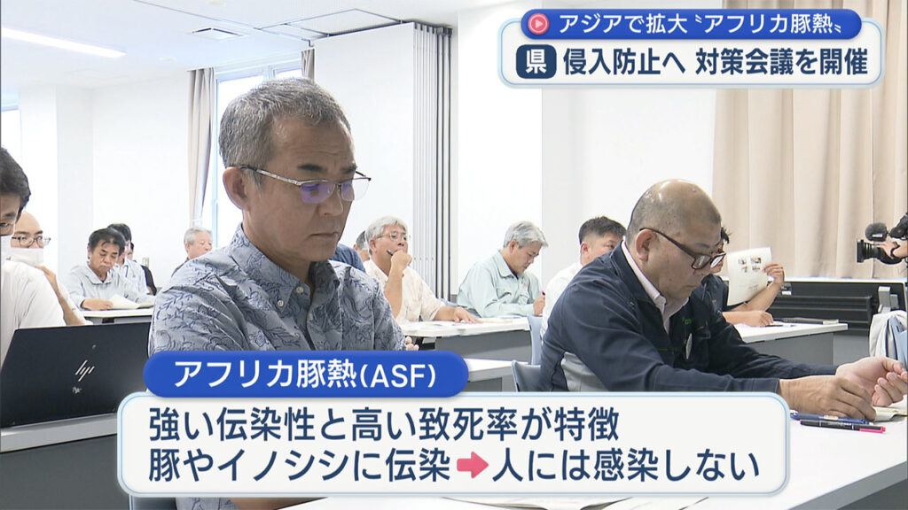 侵入リスク高まるアフリカ豚熱　防疫対策会議 – QAB NEWS Headline