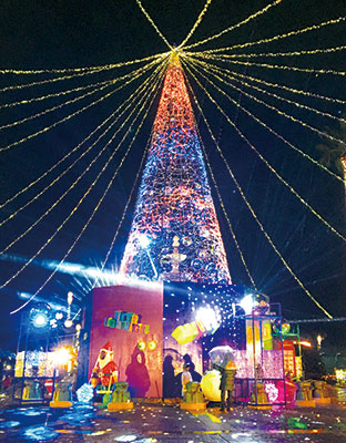 WOW!!な体験　冬の想い出に | ニュース和歌山