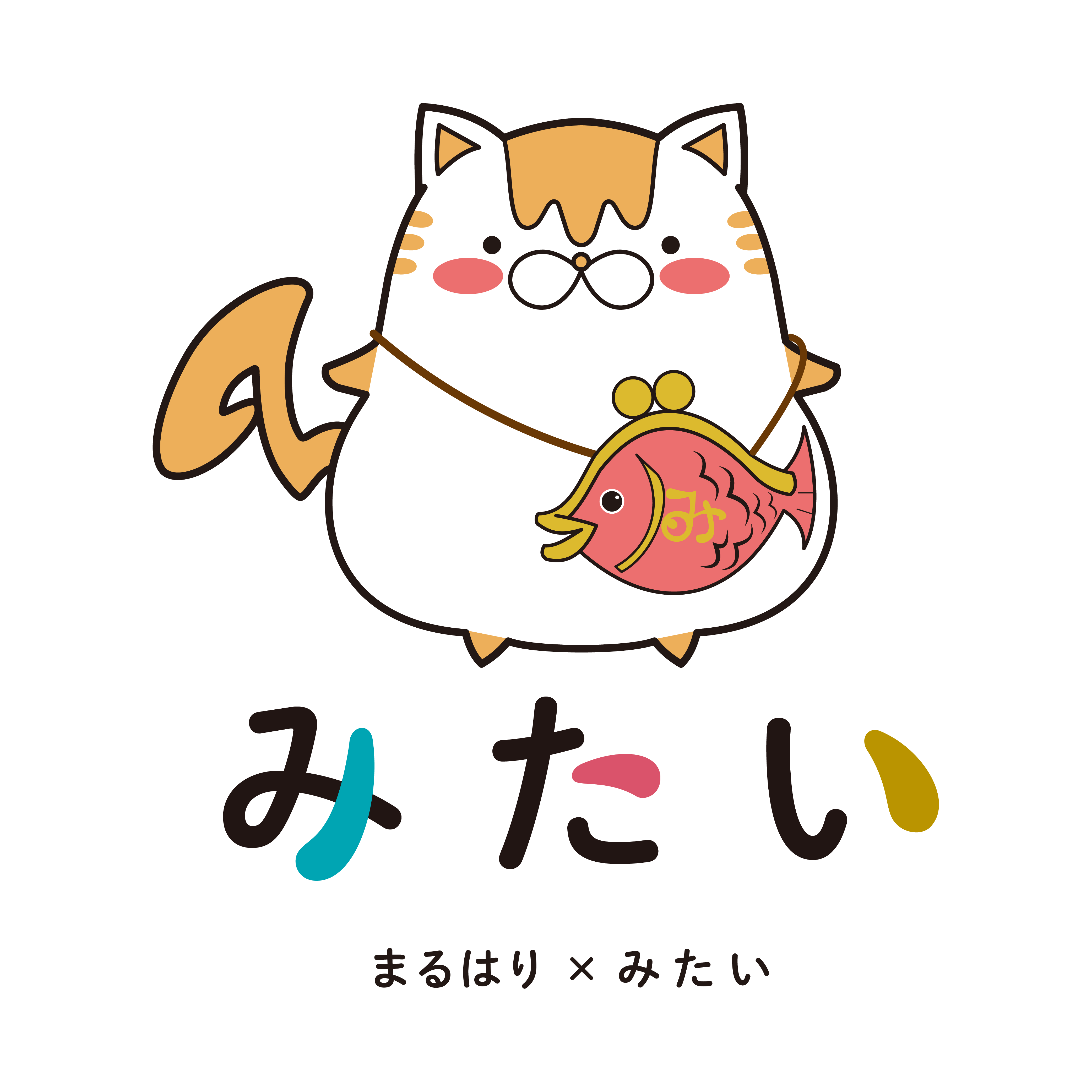 みたい／まるはり×みたい編集部