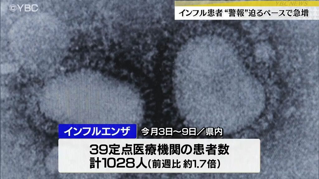 共有