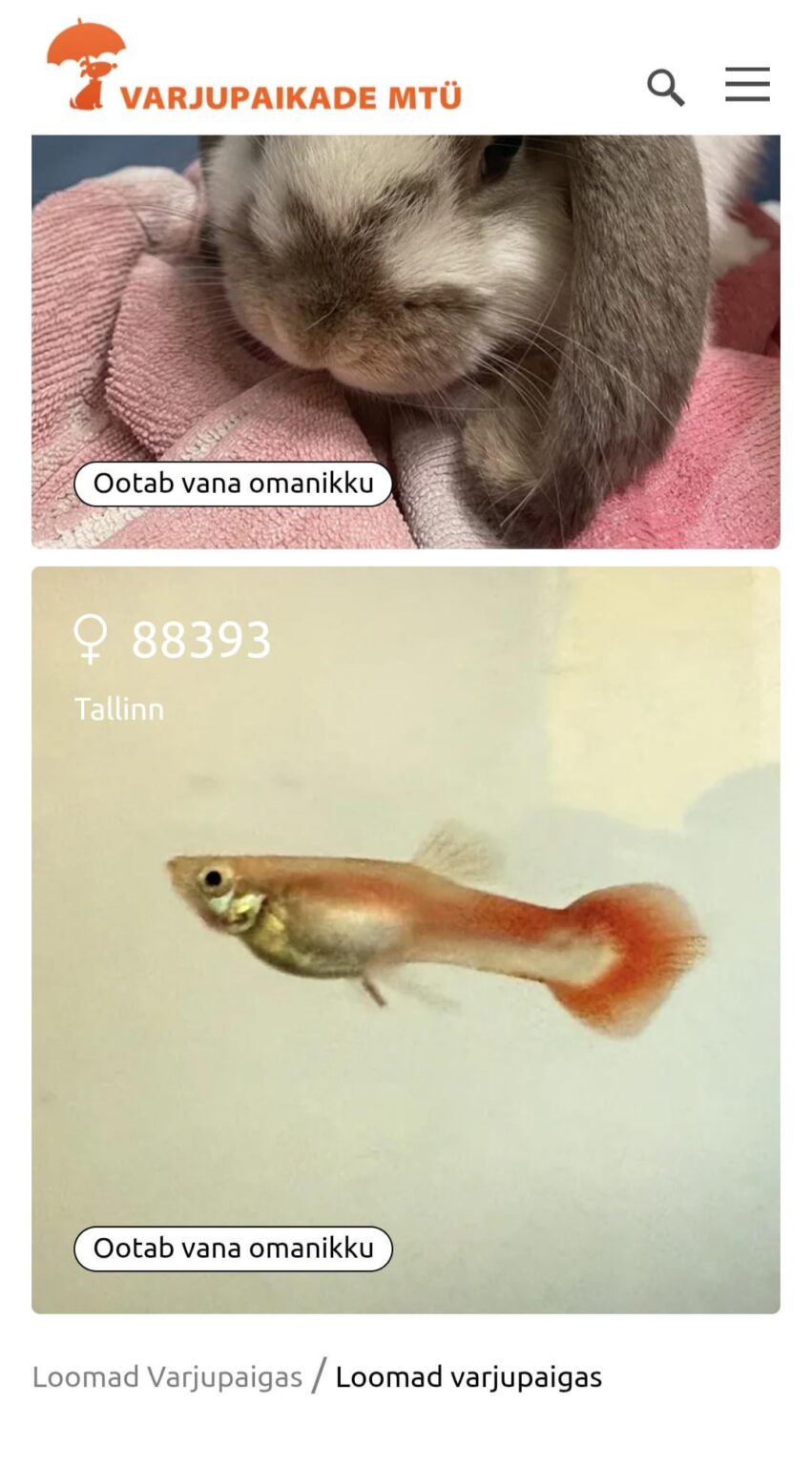 保護施設にいる興味深い動物