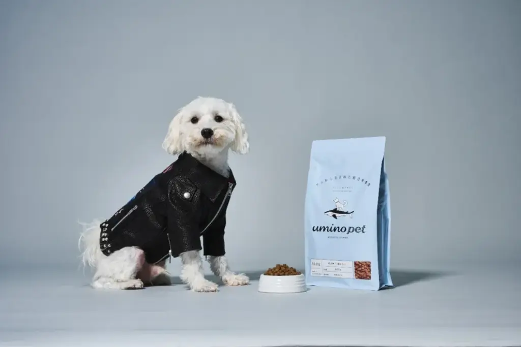 気仙沼発！サステイナブルなペットフードとファッションの新提案 - サードニュース