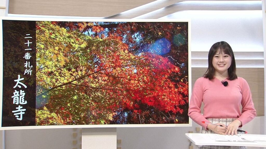 マメテン「太龍寺の紅葉」見ごろです! 佐々木予報士が散策【徳島】(2025年11月21日掲載)|JRT NEWS NNN 共有