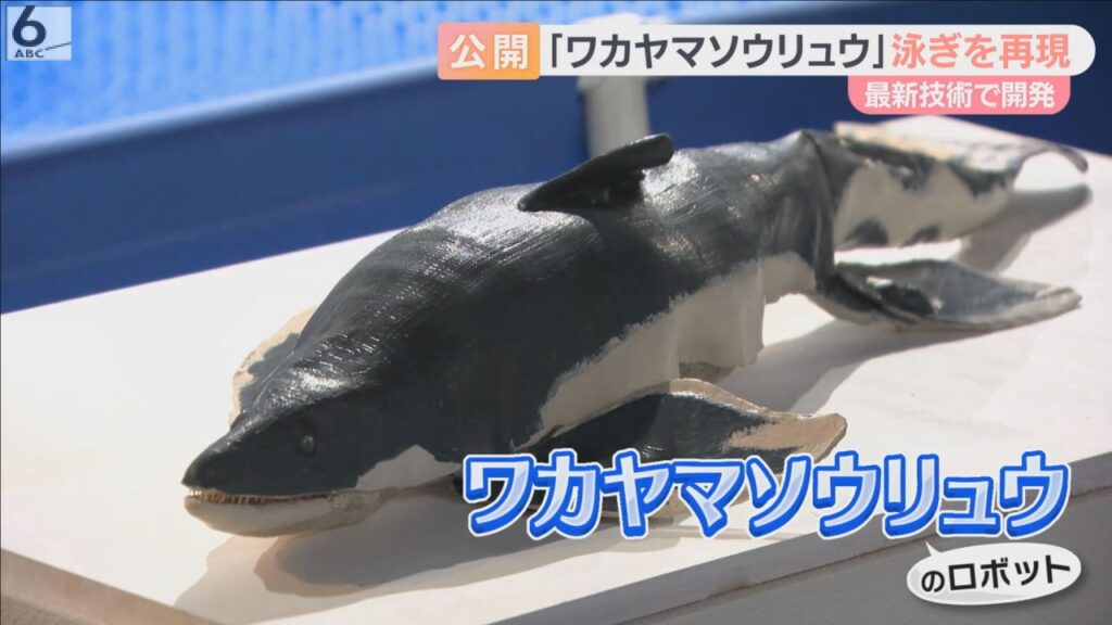 和歌山で化石発見　モササウルスの新種「ワカヤマソウリュウ」をロボットで再現　アドベンチャーワールドでお披露目