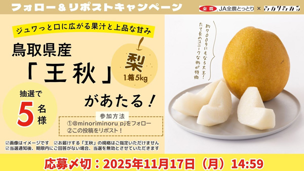 みのりみのる公式Ｘプレゼントキャンペーン