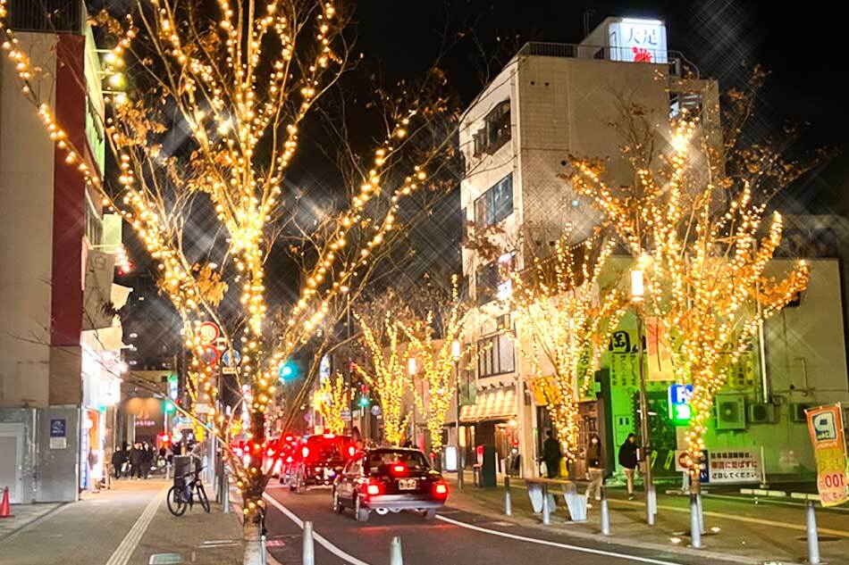 MOMOTAROH FANTASY 2025 haremachi