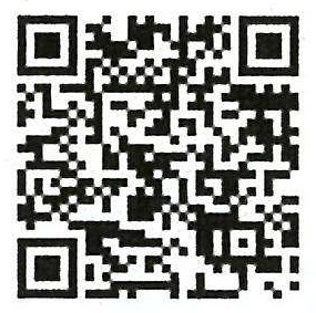 特設サイト