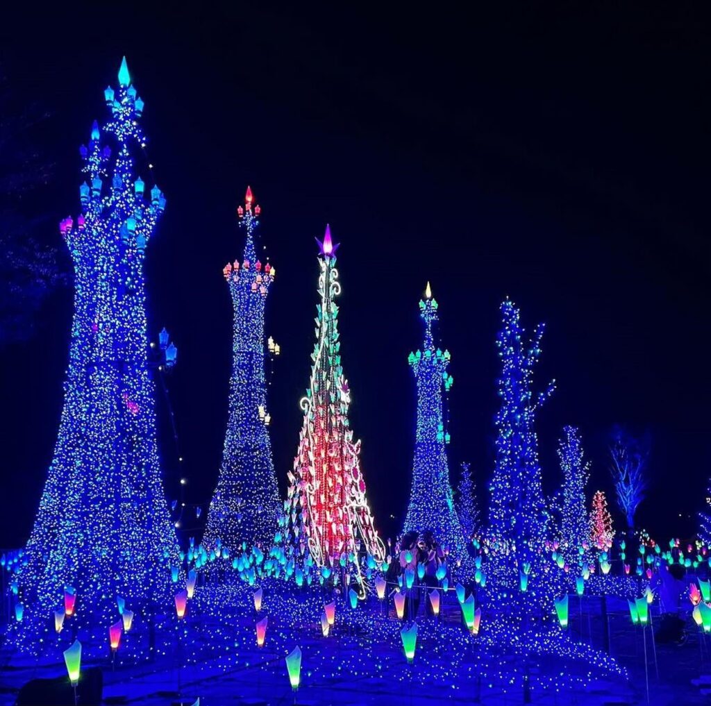 【山形 イルミネーション2025‐2026】冬のデートはこれ♡おすすめイルミネーションスポット9選！ - DRESSY【公式】ウェディングドレス・ファッション・エンタメニュース