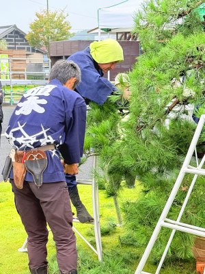 [イベントレポート]第50回千葉県植木共進会　千葉県植木まつりが開催されました！（主催：千葉県園芸協会）（2025.10.25～10.26） | 道の駅 みのりの郷東金　千葉県東金市