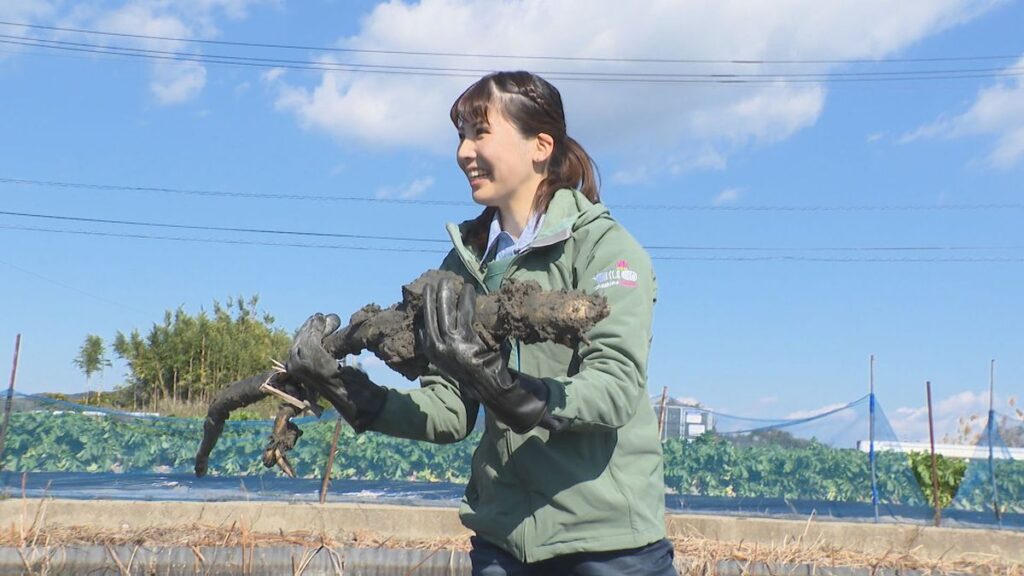 共有