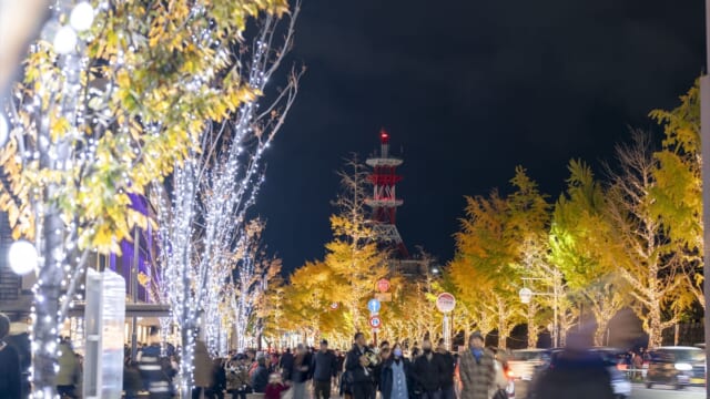 130万球のイルミと500機のドローンが夜空を彩る!「けやきライトパレード&WAKAYAMA LIGHTS 2025」開催|和歌山 | TABIZINE~人生に旅心を~ 130万球のイルミと500機のドローンが夜空を彩る!「けやきライトパレード&WAKAYAMA LIGHTS 2025」開催|和歌山 | TABIZINE~人生に旅心を~