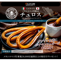 LION FXメキシコペソ円限定 チュロスプレゼントキャンペーン!を実施 - PR TIMES｜RBB TODAY