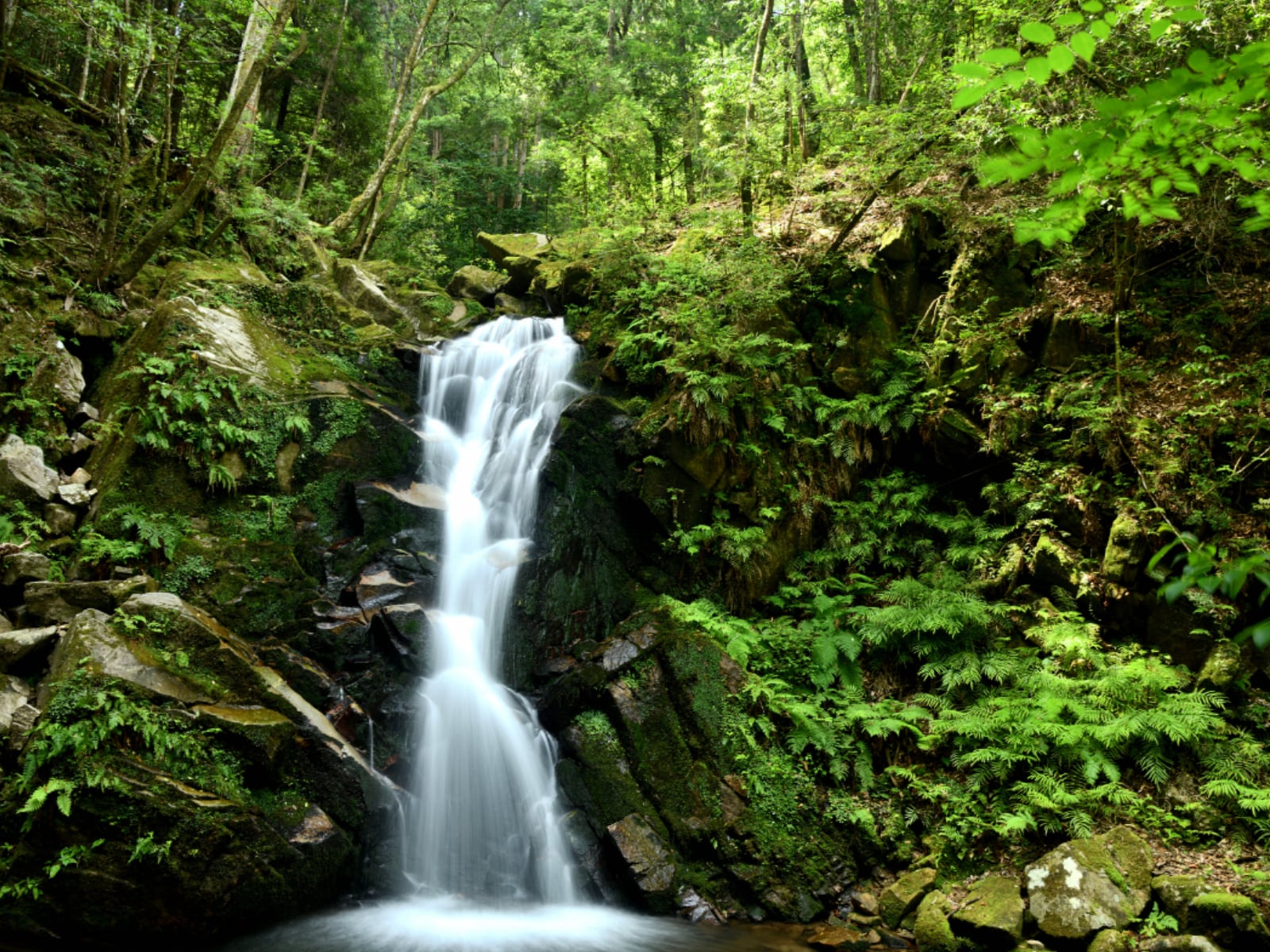 「奈良県で秋に行きたい滝」ランキング