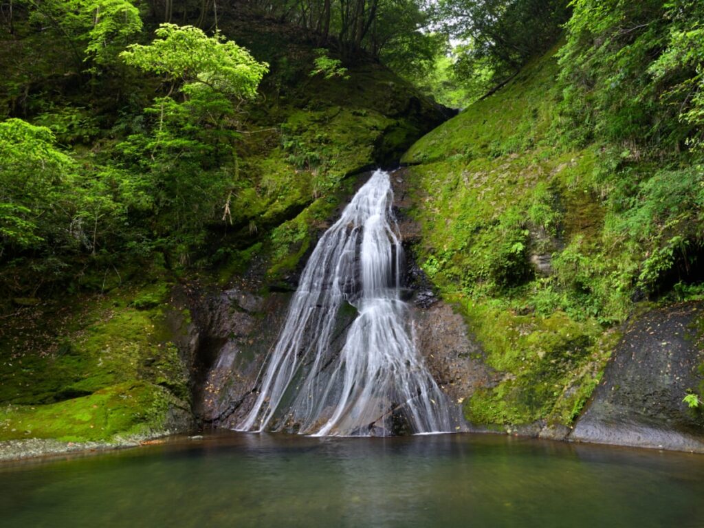 和歌山県で「秋に行きたい滝」ランキング! 2位「請川のお滝さん」を抑えた1位は?【2025年調査】 – All About ニュース 和歌山県で「秋に行きたい滝」ランキング! 2位「請川のお滝さん」を抑えた1位は?【2025年調査】 - All About ニュース